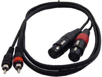 TPC-021  ΚΑΛΩΔΙΟ 2 RCA ΑΡΣΕΝΙΚΑ - 2 XLR ΘΗΛΥΚΑ 1