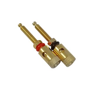 XS-P016/B Επίχρυση μπόρνα μαύρη